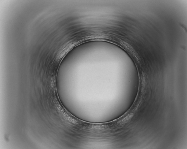 X0000100200985200806201417