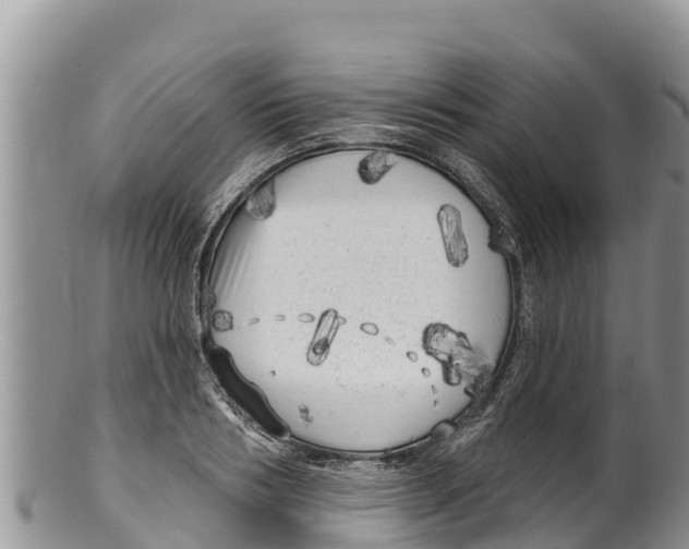 X0000100200986200806201417