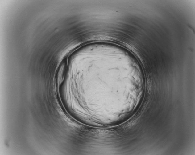 X0000100200987200806201417