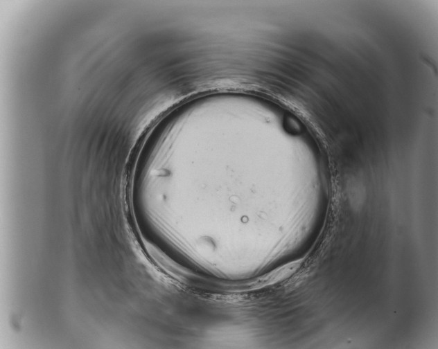 X0000100200991200806201417