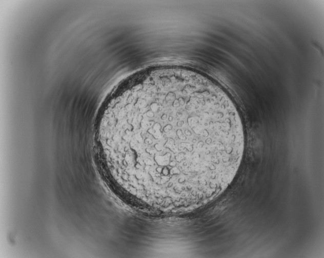 X0000100200992200806201417