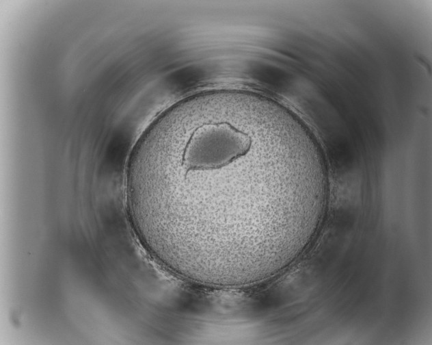 X0000100200994200806201417