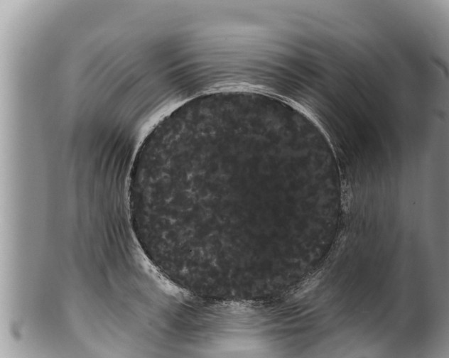 X0000100200995200806201417