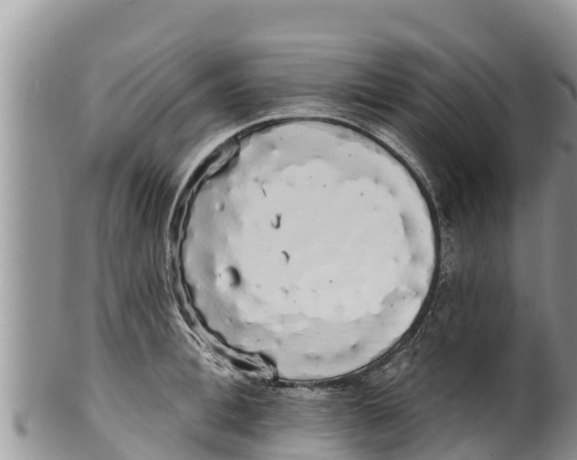 X0000100200996200806201417