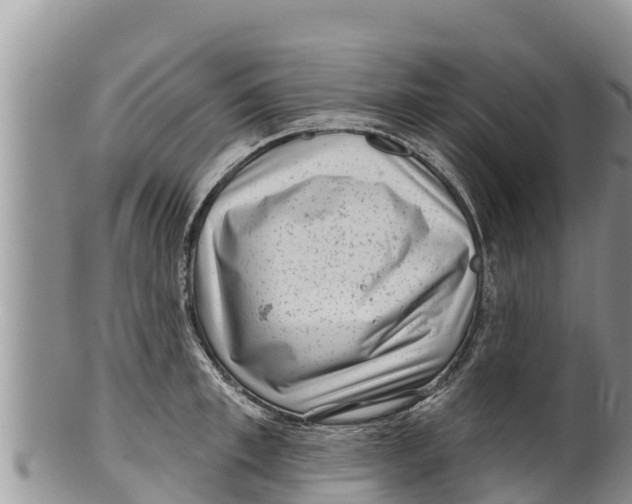 X0000100200997200806201416