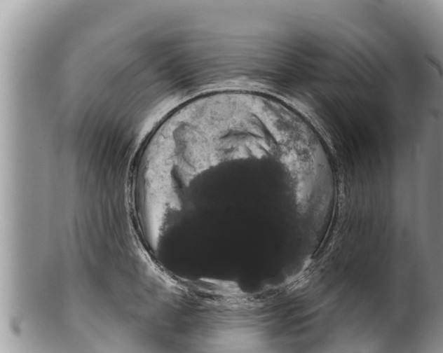 X0000100200998200806201416