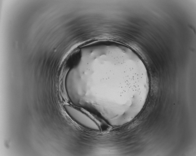 X0000100201000200806201416