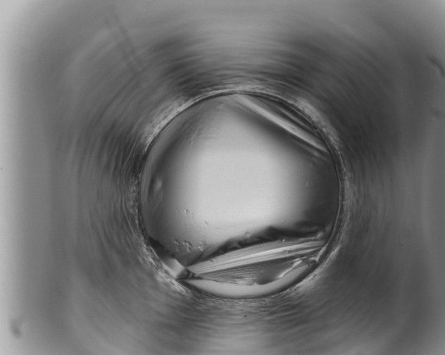 X0000100201001200806201416