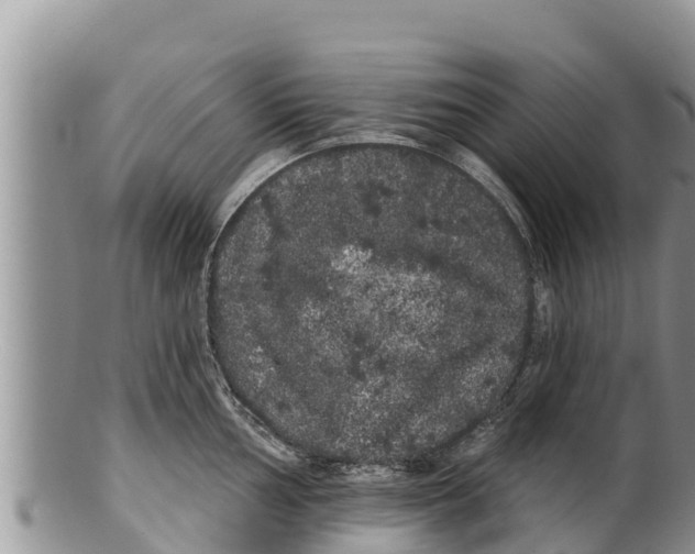 X0000100201002200806201416