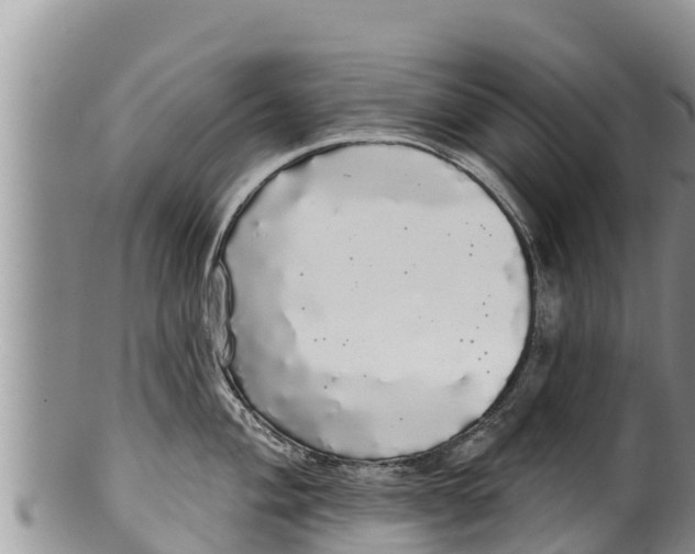 X0000100201004200806201416