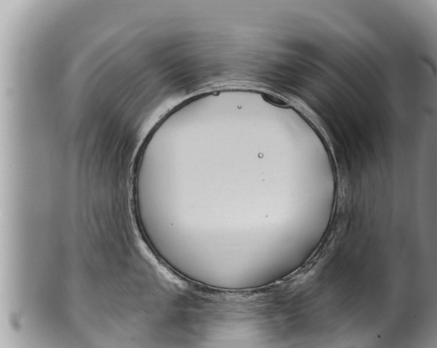 X0000100201005200806201416