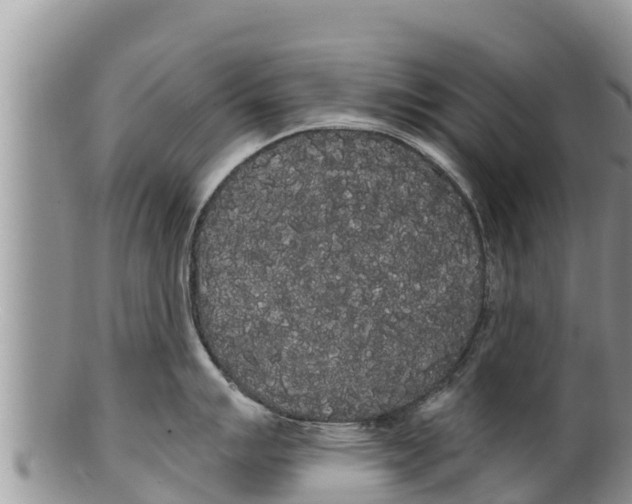 X0000100201007200806201416