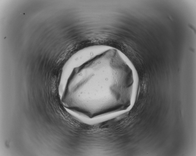 X0000100201012200806201416