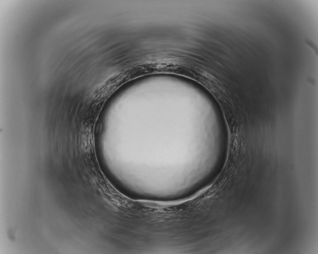 X0000100201014200806201416