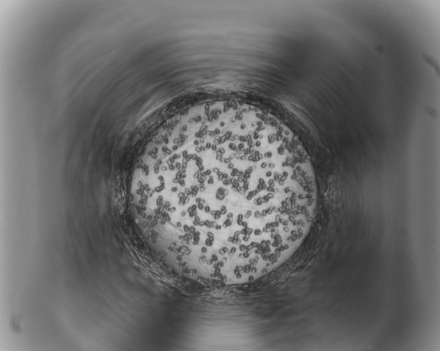 X0000100201015200806201416