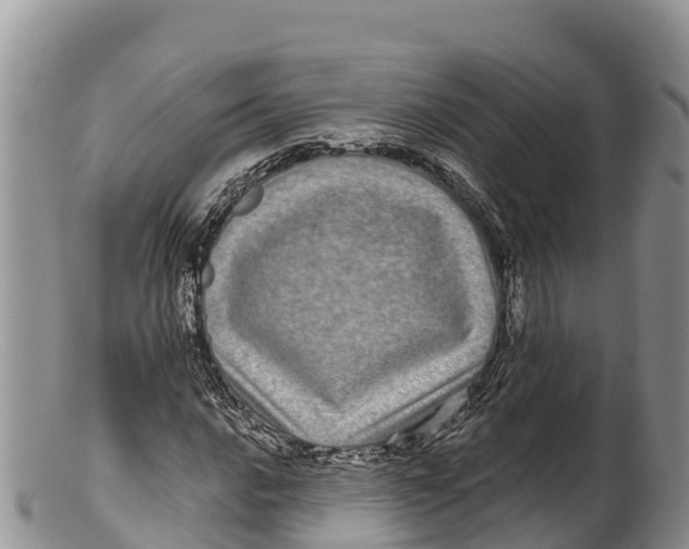 X0000100201016200806201416