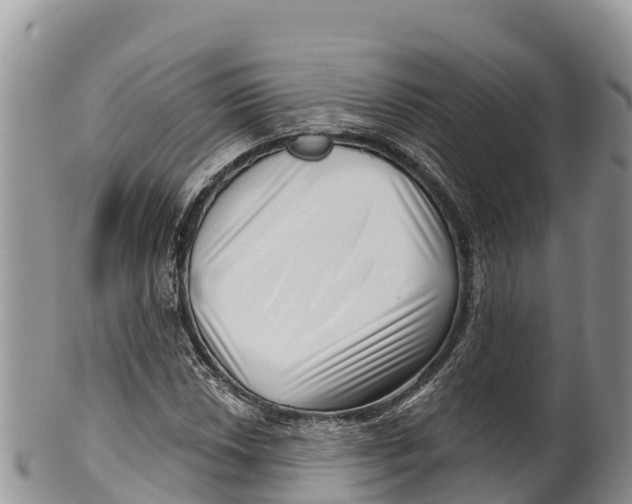 X0000100201018200806201416