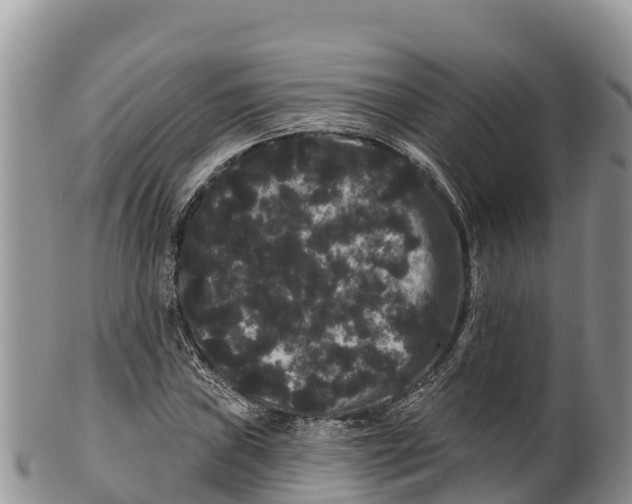 X0000100201019200806201416