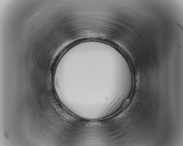 X0000100201021200806201416