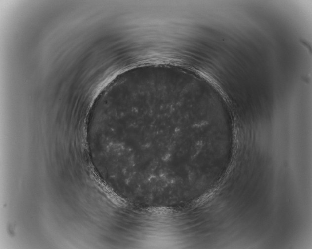 X0000100201023200806201416