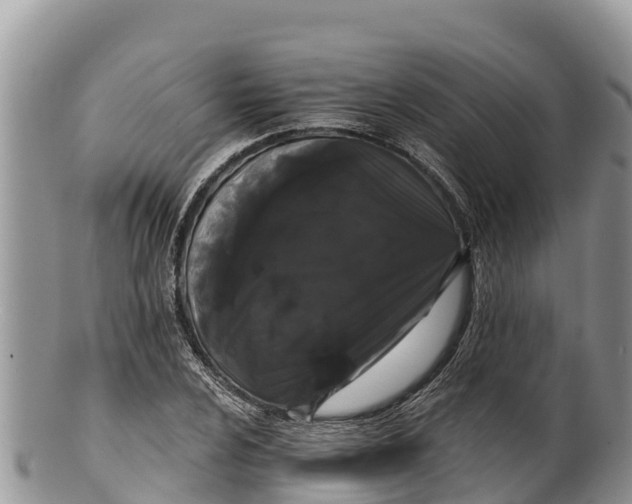 X0000100201024200806201416