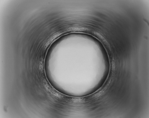 X0000100201025200806201416