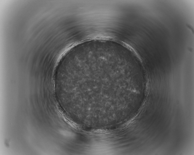 X0000100201027200806201416