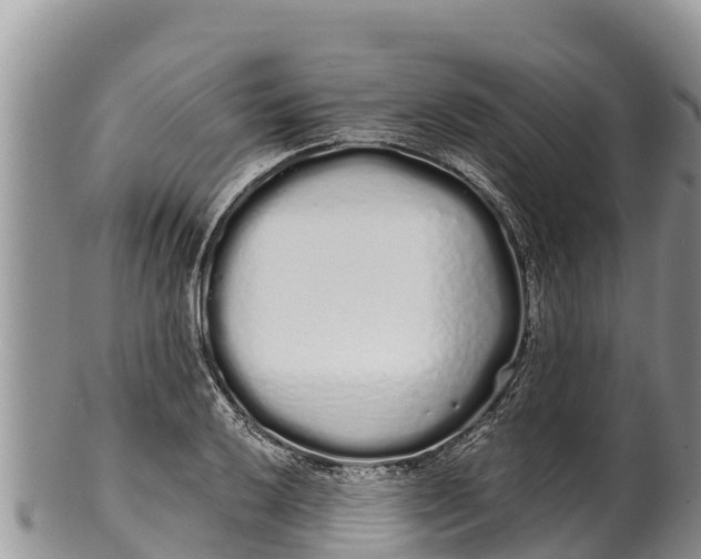 X0000100201032200806201416