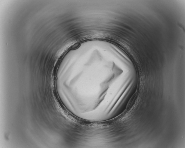 X0000100201034200806201416