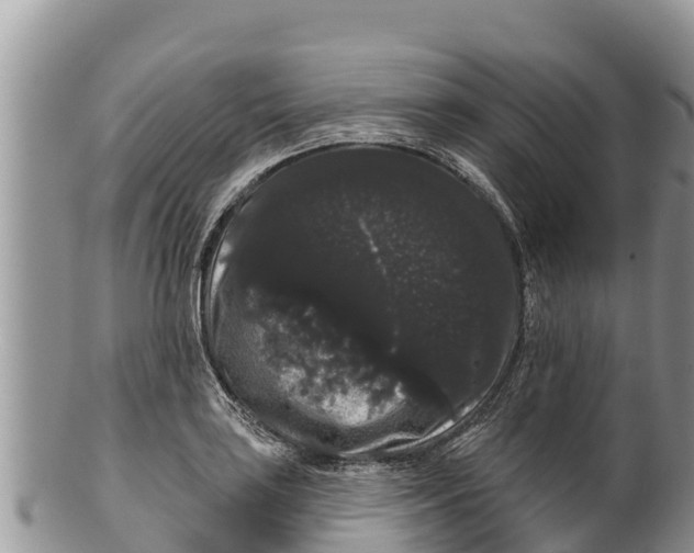 X0000100201035200806201416