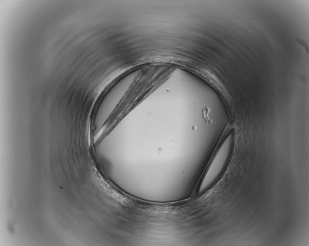 X0000100201036200806201416