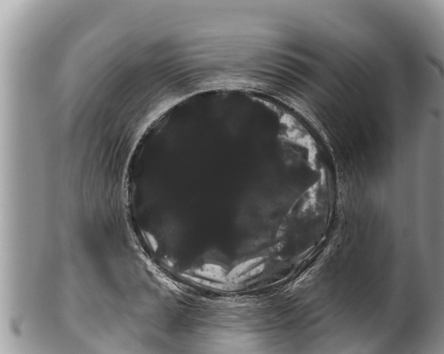 X0000100201037200806201416