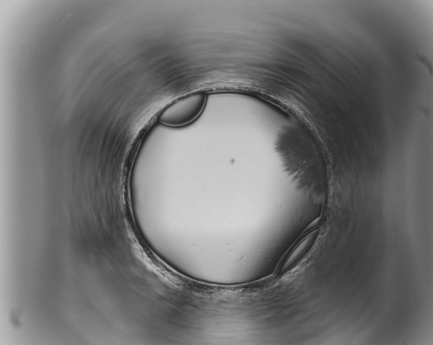 X0000100201038200806201416