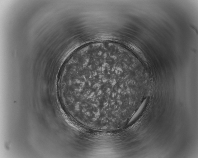 X0000100201039200806201416