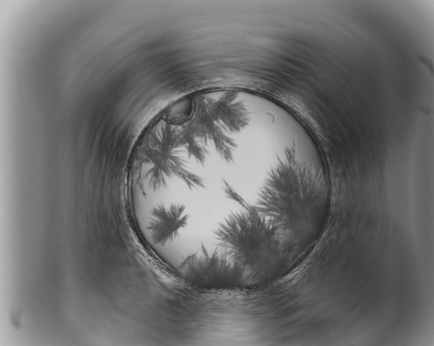 X0000100201040200806201416