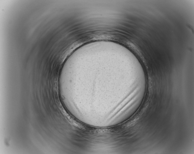 X0000100201041200806201416