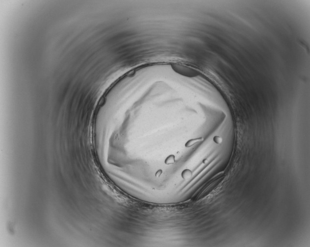 X0000100201044200806201416