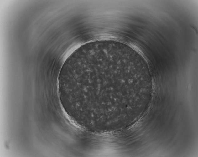 X0000100201047200806201416