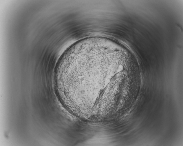 X0000100201048200806201416