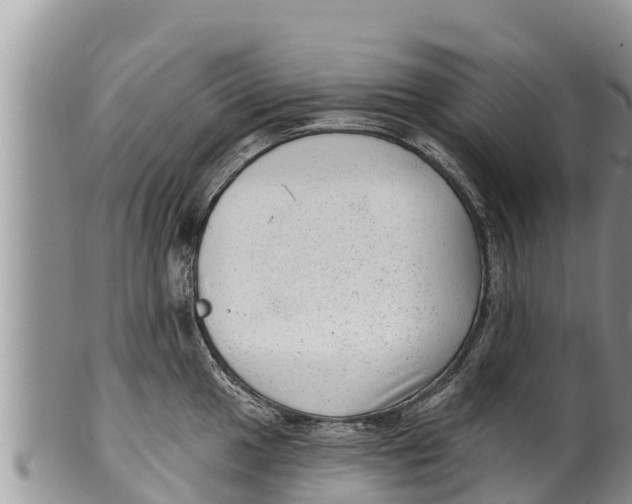 X0000100201049200806201416