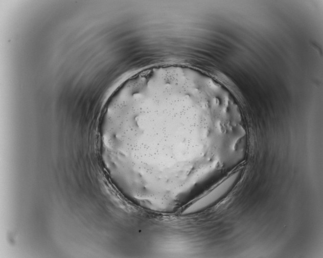 X0000100201052200806201416