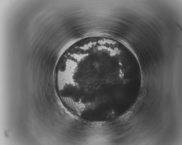 X0000100201053200806201416