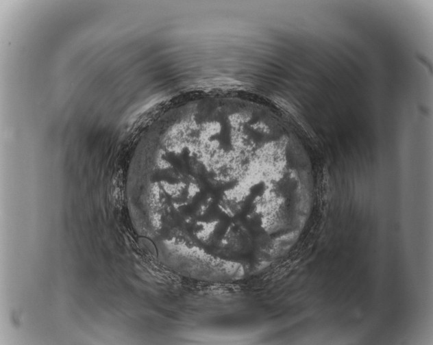 X0000100201063200806201415