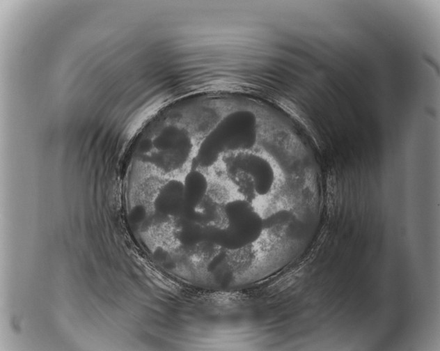 X0000100201067200806201415