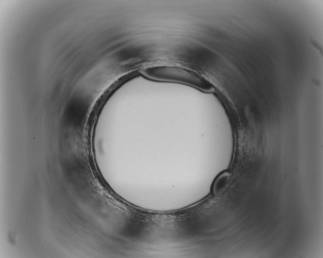 X0000100201068200806201415