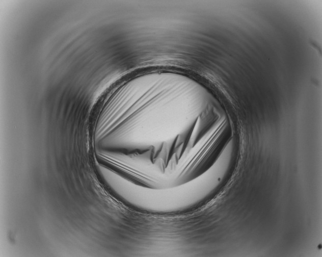 X0000100201069200806201415