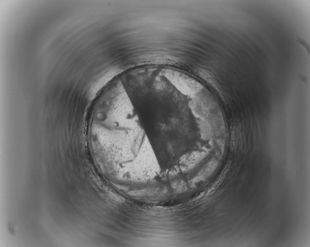 X0000100201071200806201415