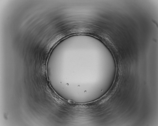 X0000100201073200806201415