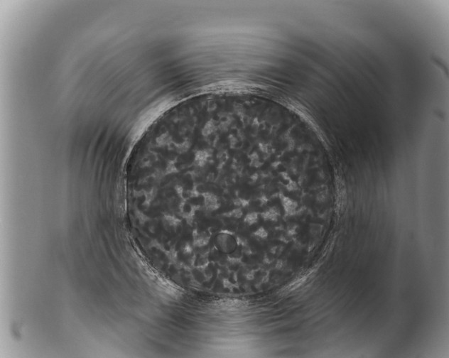 X0000100201075200806201415