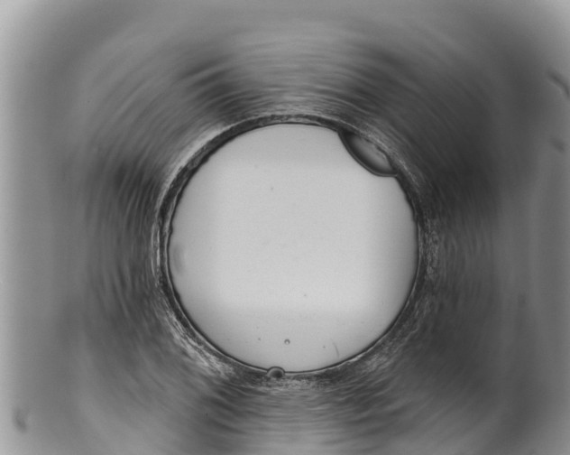 X0000100201076200806201415